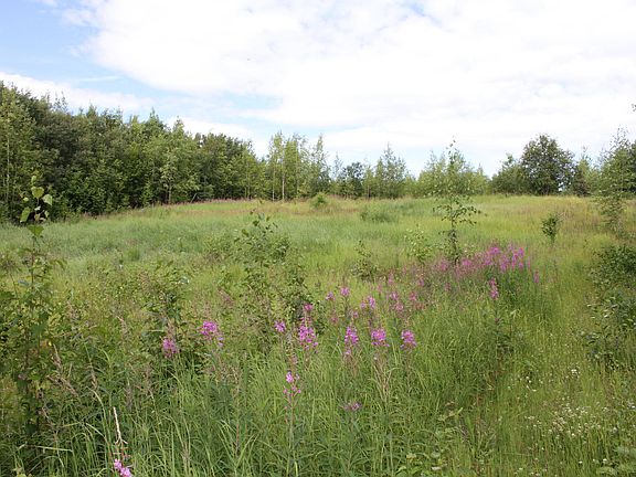 3rd image of 11580 Arctic Orchid Ln