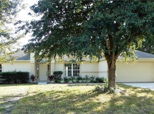 3204 Sky St, Deltona, FL 32738