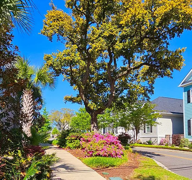 7710 Monarch Dr — Photo 10