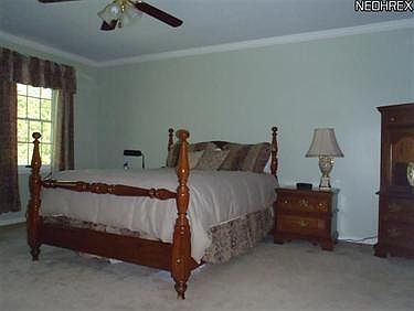 5th image of 10895 Scranton Woods Trl