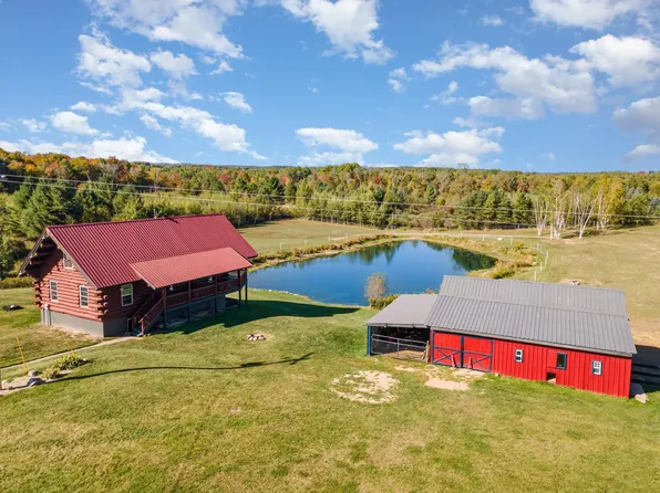 9608 Nineteen Mile Rd, Tustin, MI 49688