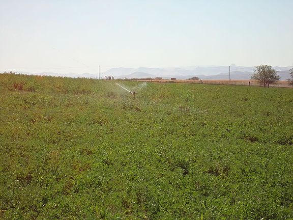 View to the south Owyhee Mts