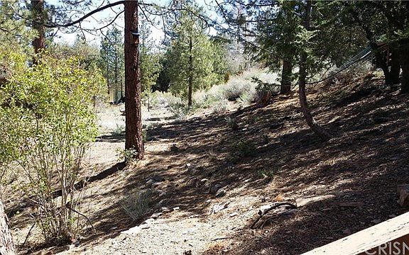 3rd image of 1525 Zermatt Dr