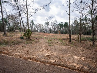 2428 Crabapple Rd, Gilmer, TX, 75645