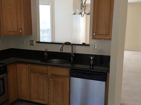 Kitchen Dishwasher