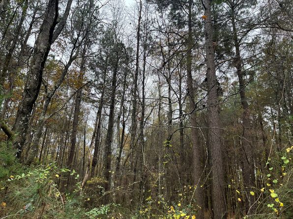 Nevada Rd #168, Waldo, AR 71770