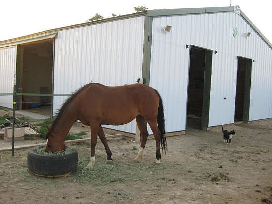 Horse Stall and South door