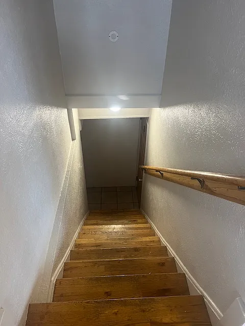 Basement Unit