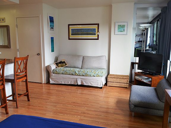 Sofa is a pull out (full size) for an occassional guest and