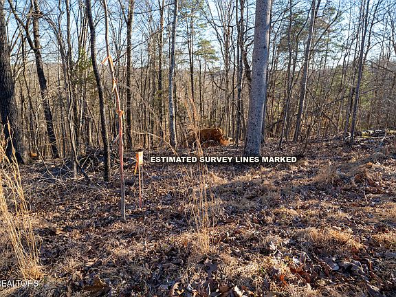 5th image of 108 Nathan Ln