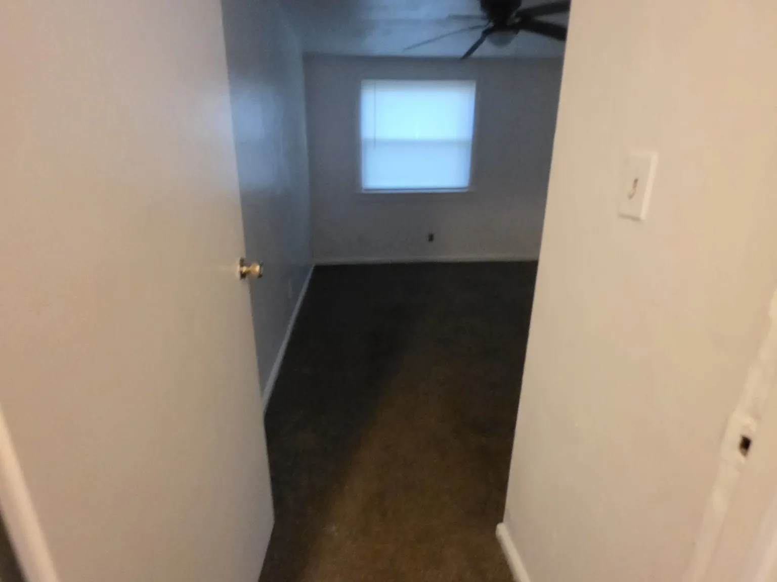 1241 Underwood Avenue - Norfolk — Photo 4