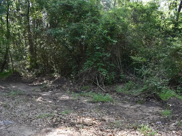 L-10 Three Points Dr, Frankston, TX 75763