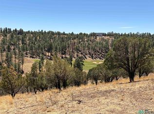 136 Bobby Jones Ln, Alto, NM 88312