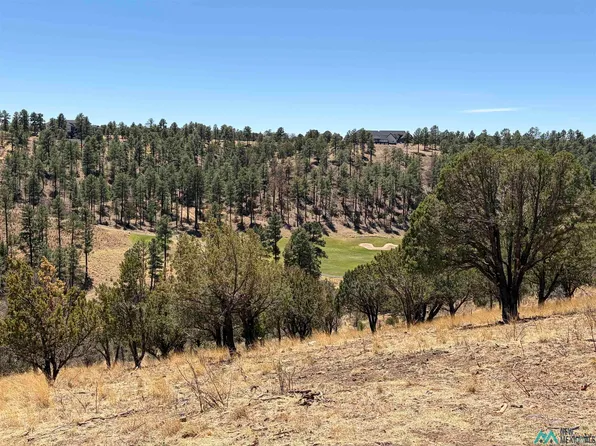 136 Bobby Jones Ln, Alto, NM 88312