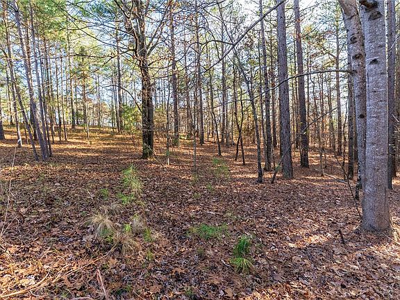 4th image of 219 Brookhollow Trl