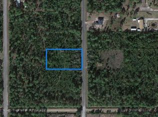 10555 Baylor Ave, Hastings, FL 32145