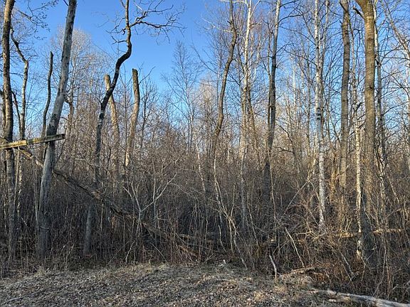 3rd image of Koch Rd