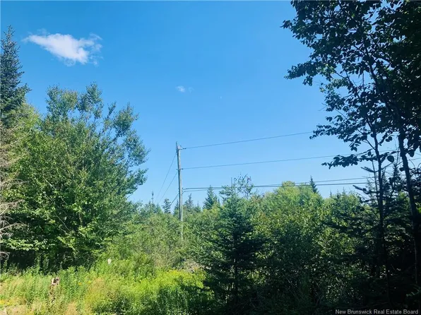 106 Fundy Dr #86, Campobello Island, NB E5E 1X2