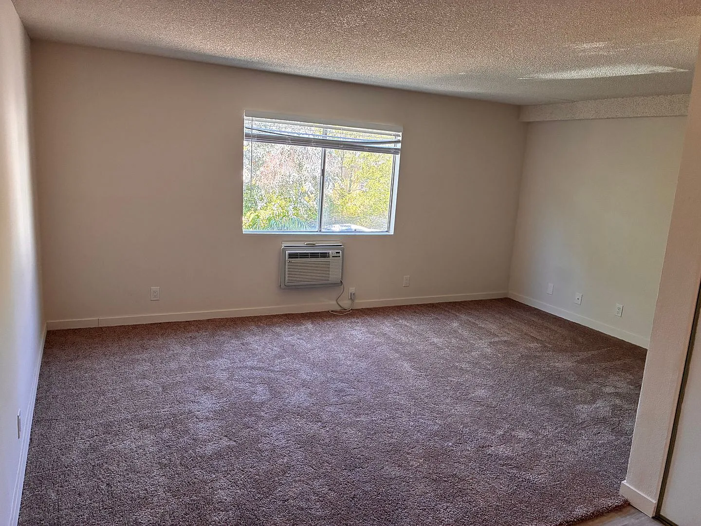10231 Pinewood Ave — Photo 2