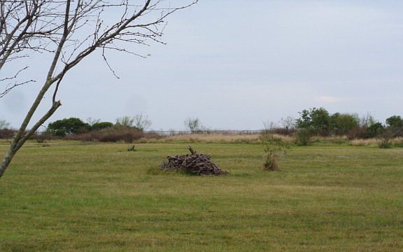 2nd image of 502 Porpoise Dr