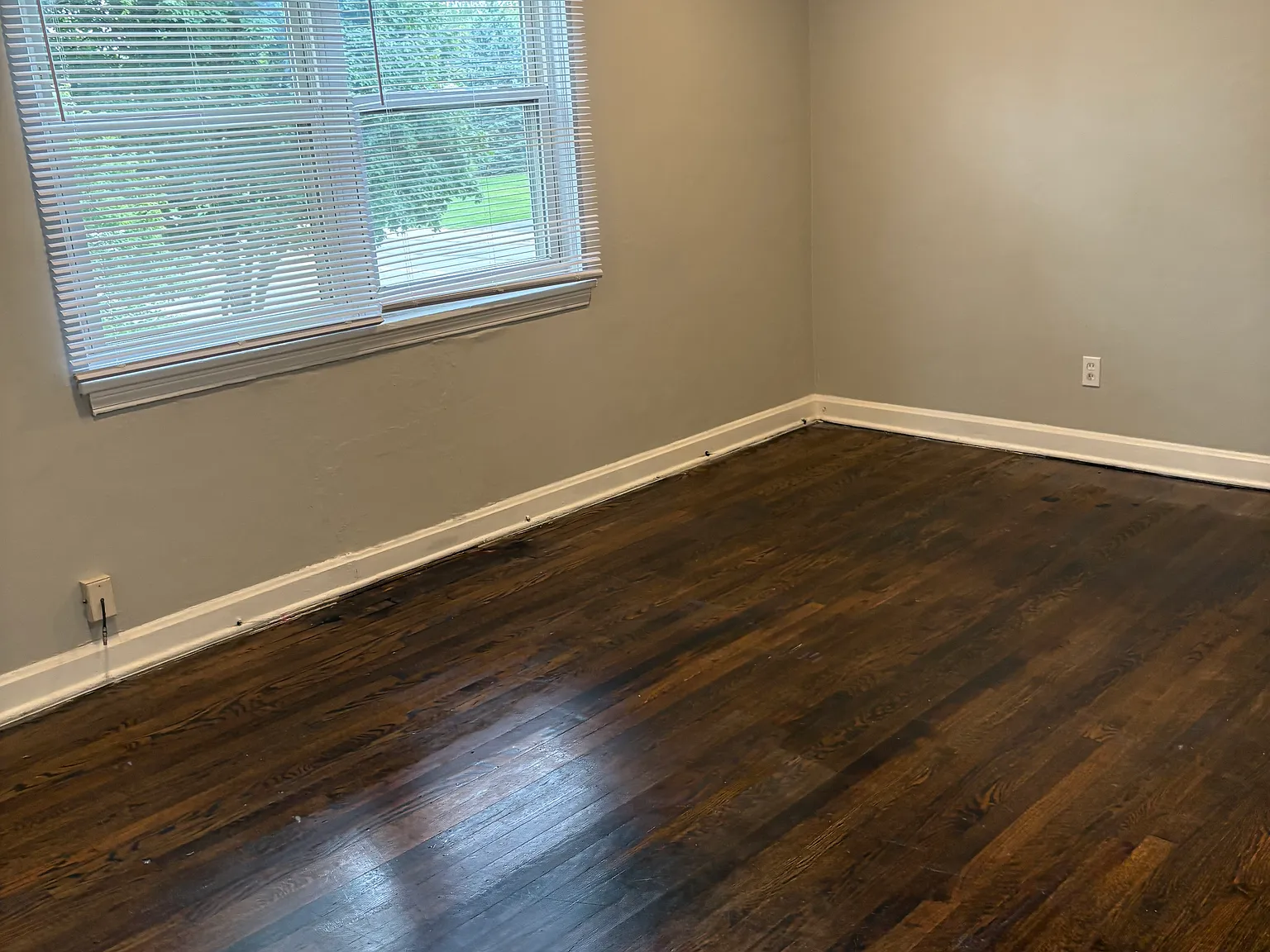 2 bed, 800 sqft, $1,100 — Photo 2