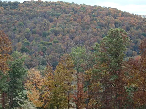 0 Coryland Rd, Columbia Cross Roads, PA 16914