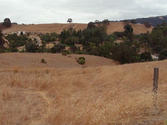 10 acres looking south