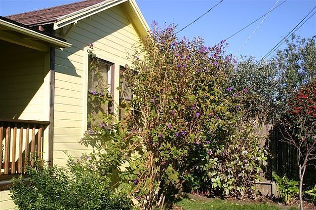 2nd image of 135 Spring St