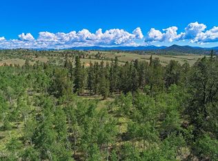 92 Old Squaw Rd, Jefferson, CO 80432