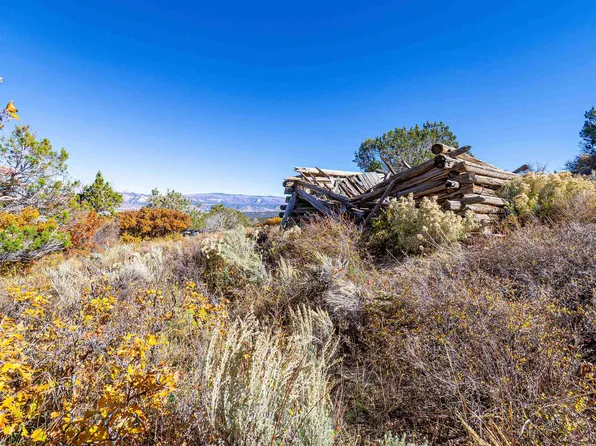 52 5/10 Road, Mesa, CO 81643