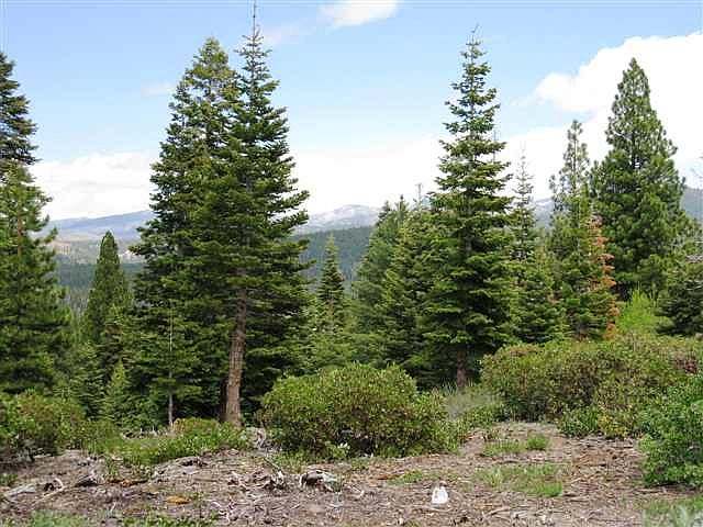 2nd image of 1719 Grouse Ridge Rd