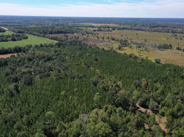 Xx Glen Julia Rd, Quincy, FL 32351