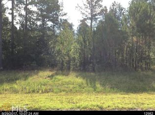 132 Runs Crossing Dr, Springfield, GA 31329