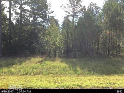 132 Runs Crossing Dr, Springfield, GA, 31329