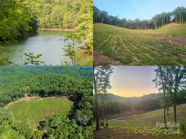 Old Yellow Circle Rd, Robbinsville, NC 28771