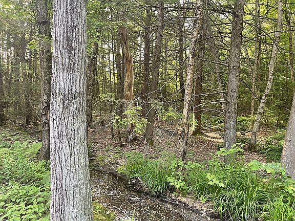 5th image of LOT 9 & #10