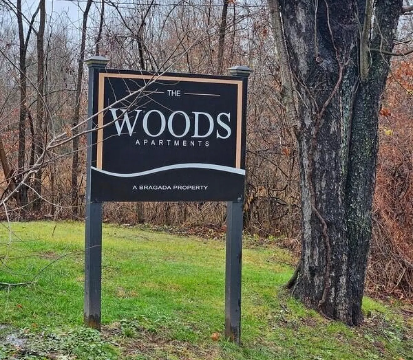 2 bed, 650 sqft, $1,550 — Photo 3