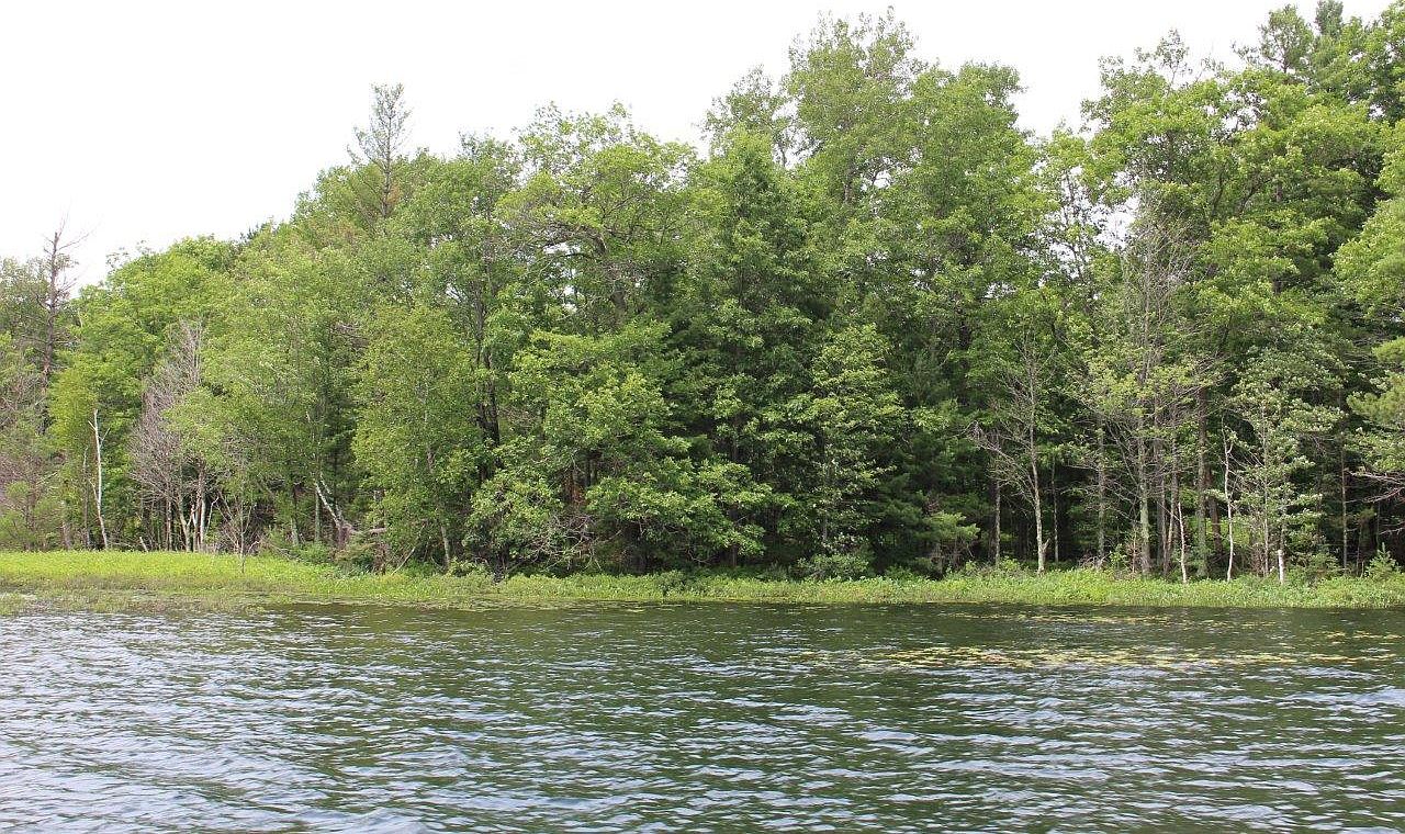 Squirrel Lake Rd, Minocqua, WI 54548 Zillow