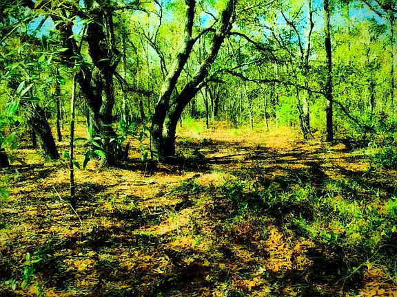 5th image of LOT 1 Robin Ave