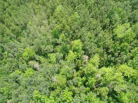 5th image of Trafton Rd