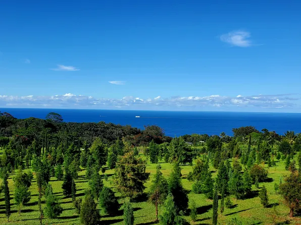 32-122 Piha Kahuku Rd #4, Ninole, HI 96773