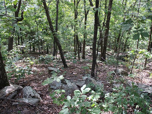 5th image of Buffalo Mountain Rd