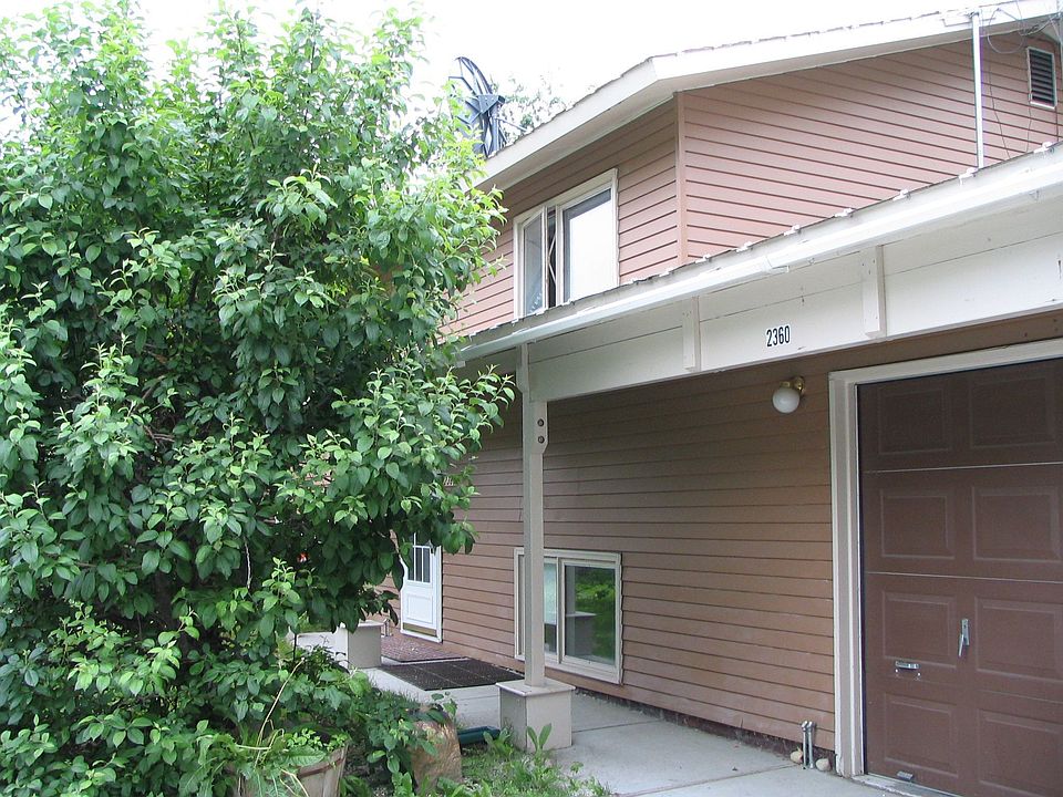 Front Yard (Apple Tree)