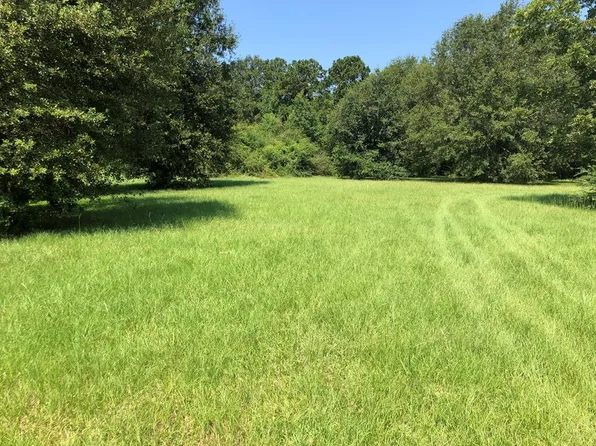 6871 Highway 11, Carriere, MS 39426