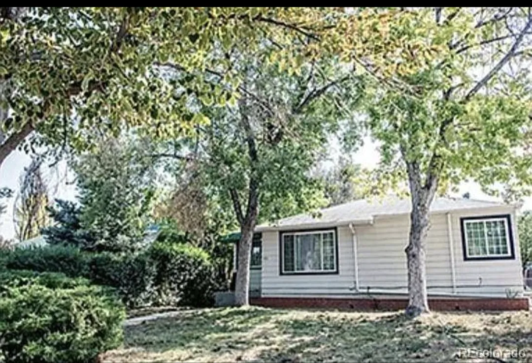 2 bed, 1000 sqft, $1,750 — Photo 4