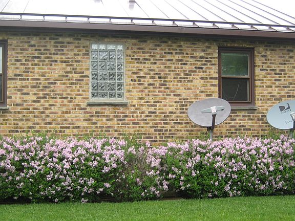 Back of house