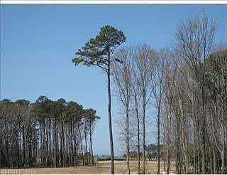 1st image of 140 Heron Pointe Dr