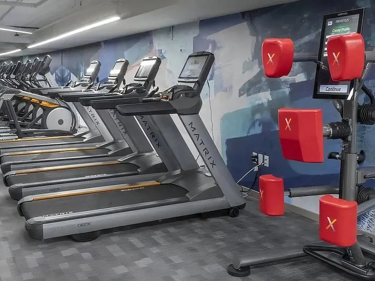 Cardio Equipment Including Matrix Treadmills and Digital Boxing Trainer