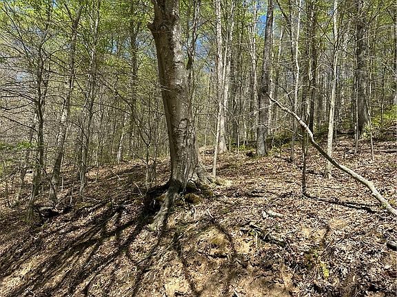 2nd image of 2 Sugar Tree Rd