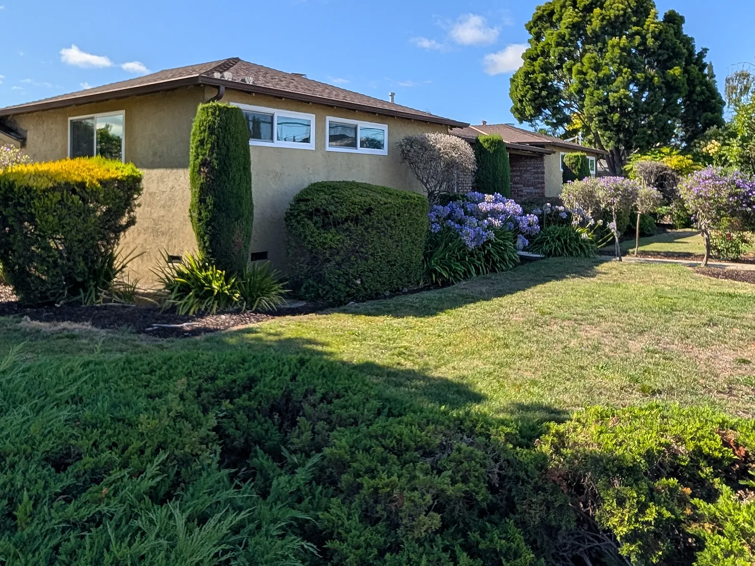 3 bed, 1480 sqft, $5,500 — Photo 2